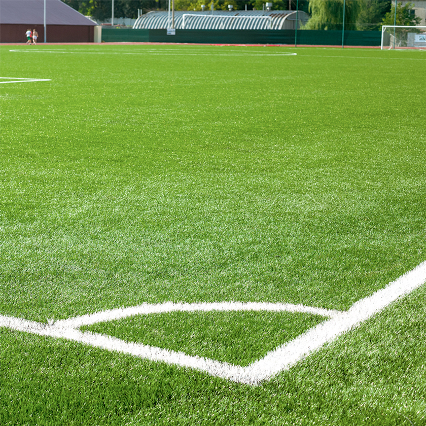 Pasto para canchas de fútbol